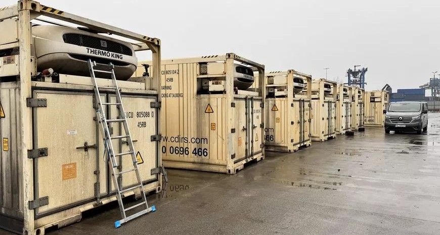 NAPRAWA CARRIER, THERMO KING